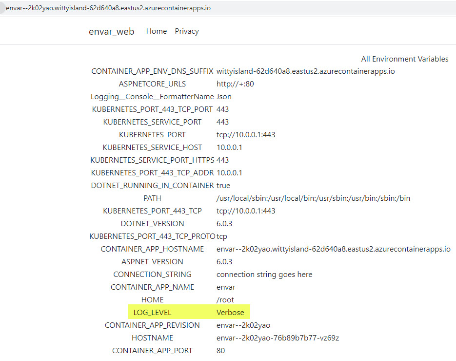 Screenshot of environment variable listing